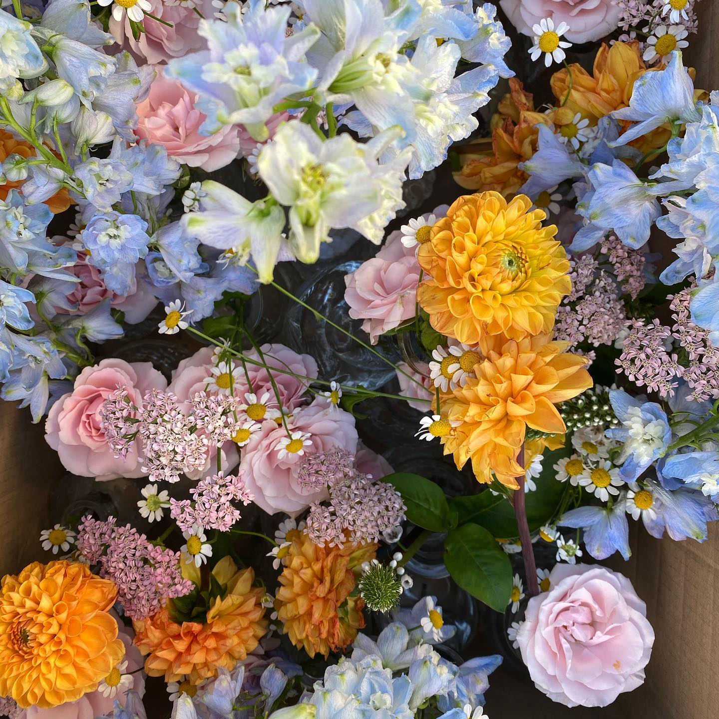 Celebrating the fact that it’s no longer pitch black at 4:30pm 💁🏼♀️
.
.
.
#irishweddingflorist #weddingflorist #weddingflowers #flowers #flowerstagram #flower #modernweddingflorist #irishflorist #longfordflorist #longford